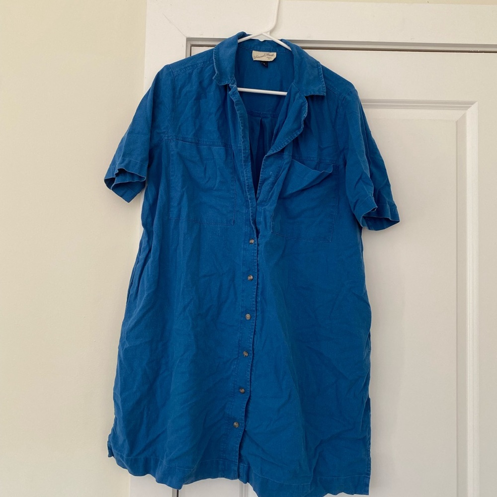 Blue collared dress